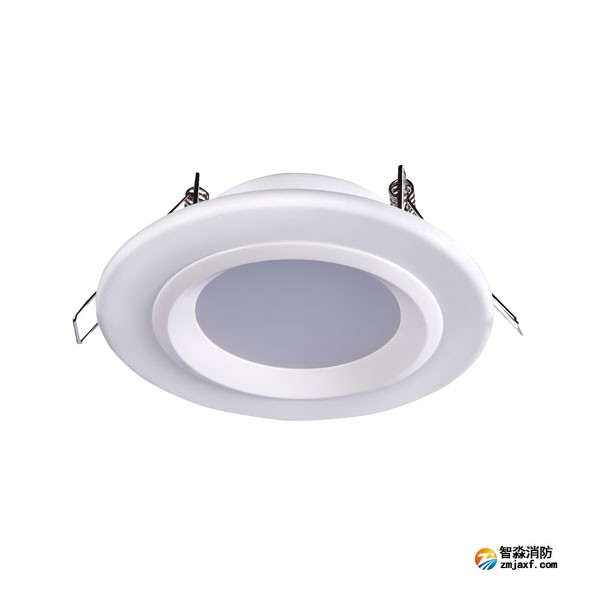 四川海灣HW-ZFJC-E6W-N621集中電源集中控制型消防應(yīng)急照明燈具