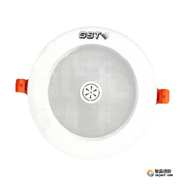 四川海灣HW-ZFJC-E6W-N651SG集中電源集中控制型消防應(yīng)急照明燈具