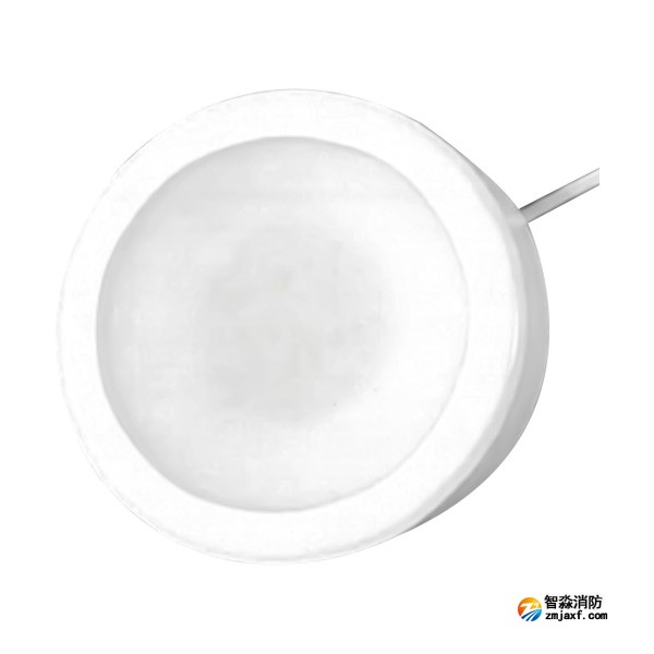 四川海灣HW-ZFJC-E6W-YN651C集中電源集中控制型消防應(yīng)急照明燈具